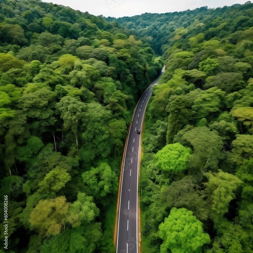 Aerial View of Green Landscape with Asphalt Road. AI