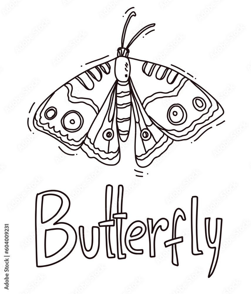 hand drawn butterfly outline vector illustration