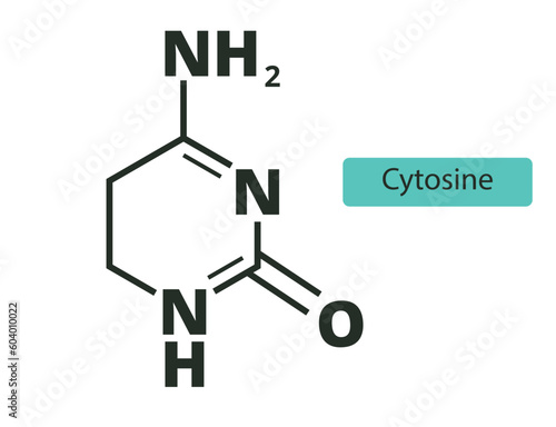 Cytosine molecular skeletal  chemical formula on white background