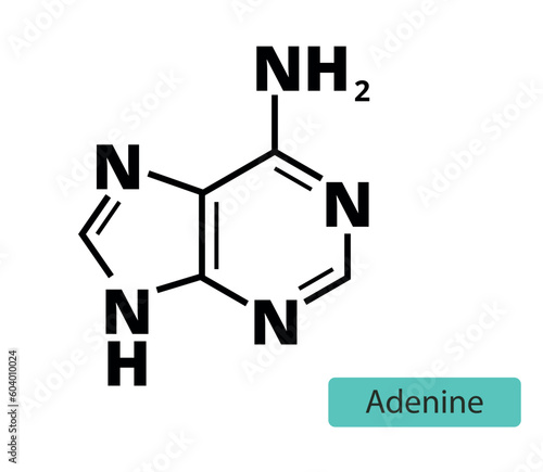 acid, adenine, agct, atoms, base, bond, carbon, chemical, chemistry, code, composition, compound, deoxyribonucleic, deoxythymidine, dna, drawing, flat, formula, icon, isolated, line, metabolism, molec