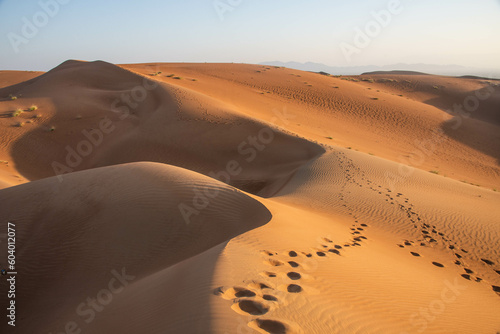 Desert solitude in the Wahiba Sands  Al Wasil  Oman