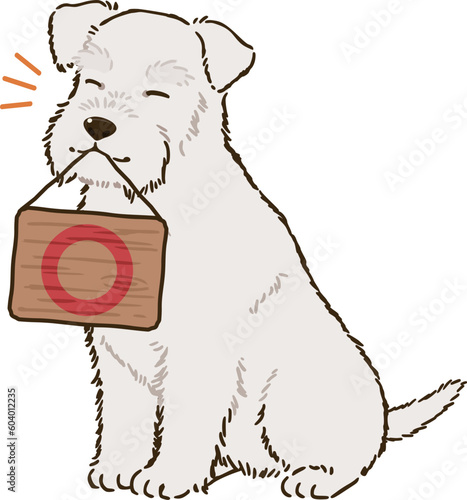 丸マークを描いた看板を咥えるシュナウザー（白）