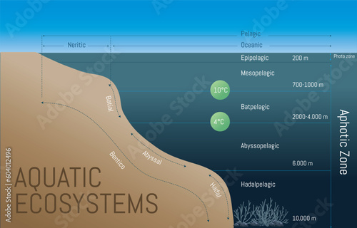  Diagram with description of water bodies layers. Geological division.