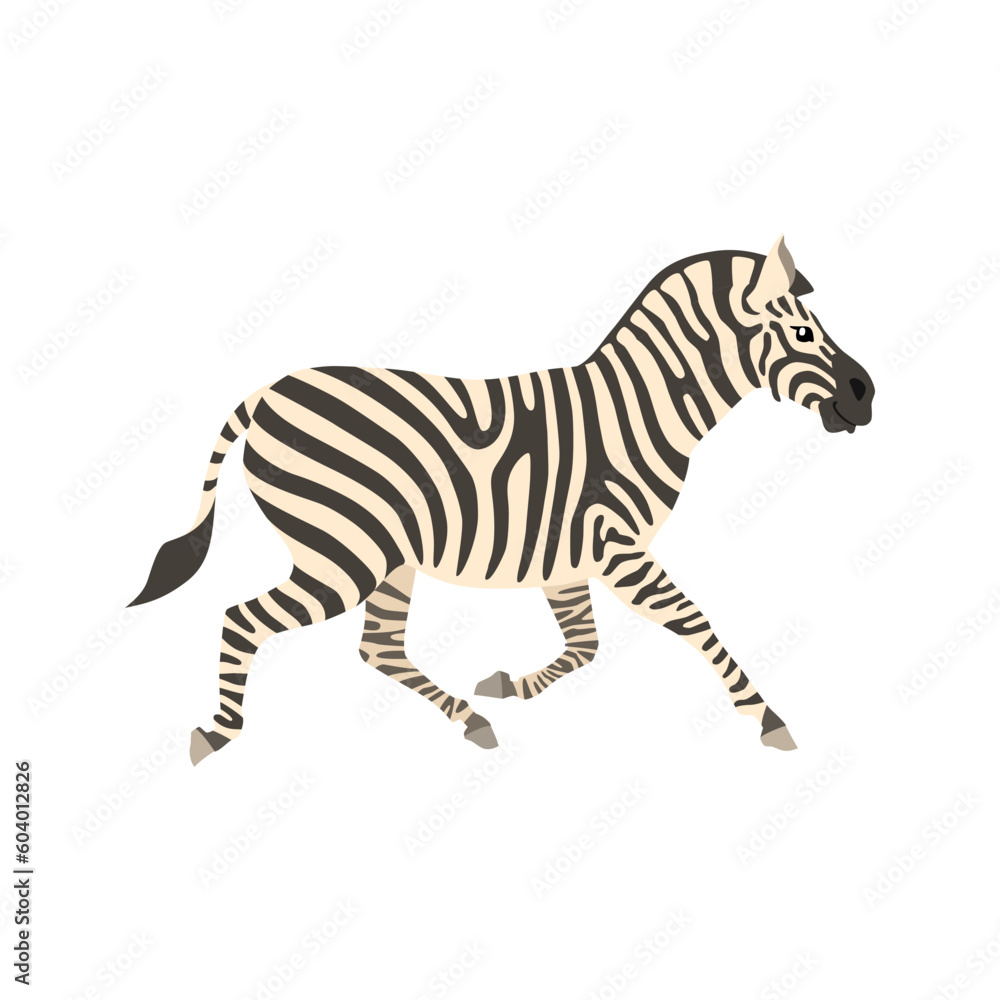 Animal illustration. Running zebra drawn in a flat style. Isolated object on a white background. Vector 10 EPS