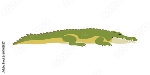 Animal illustration. Lying crocodile drawn in a flat style. Isolated object on a white background. Vector 10 EPS