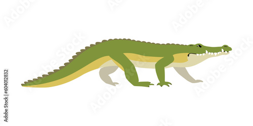 Animal illustration. Walking crocodile drawn in a flat style. Isolated object on a white background. Vector 10 EPS