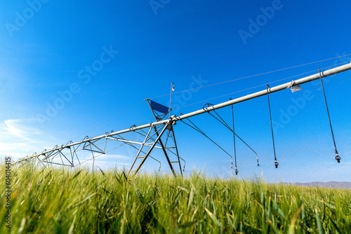 Center pivot crop irrigation or irrigation system for farm management. Watering system in the field. An irrigation pivot watering a field