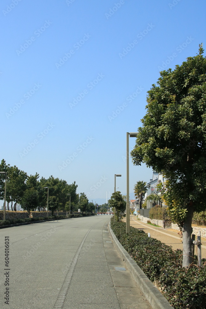 兵庫県芦屋市涼風町の松林がある街並み風景