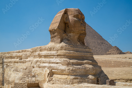 The great Sphinx in front of the pyramids of Giza in Egypt