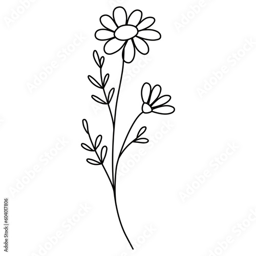 illustration of a flower