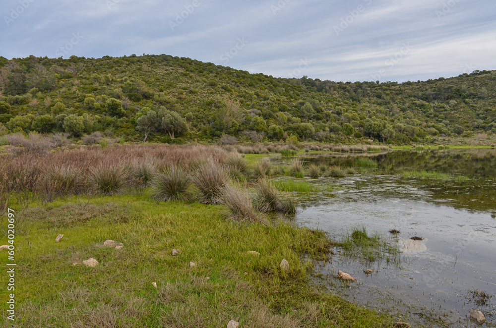 coastal lake at Tuzla beach near Kucukbahce (Karaburun, Izmir province, Turkiye)