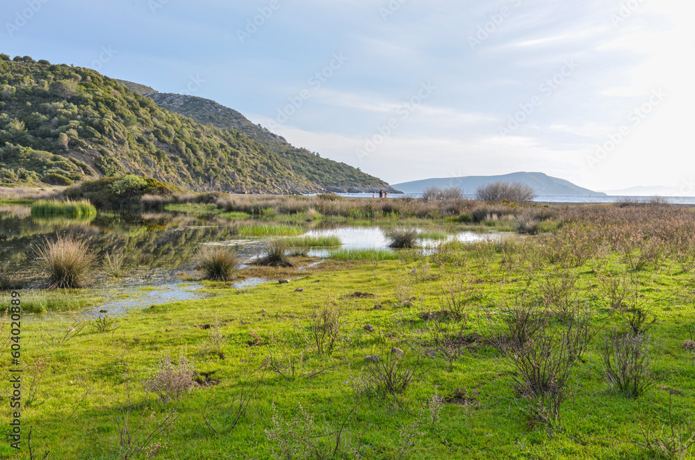 wetlands at Tuzla beach near Kucukbahce (Karaburun, Izmir province, Turkiye)