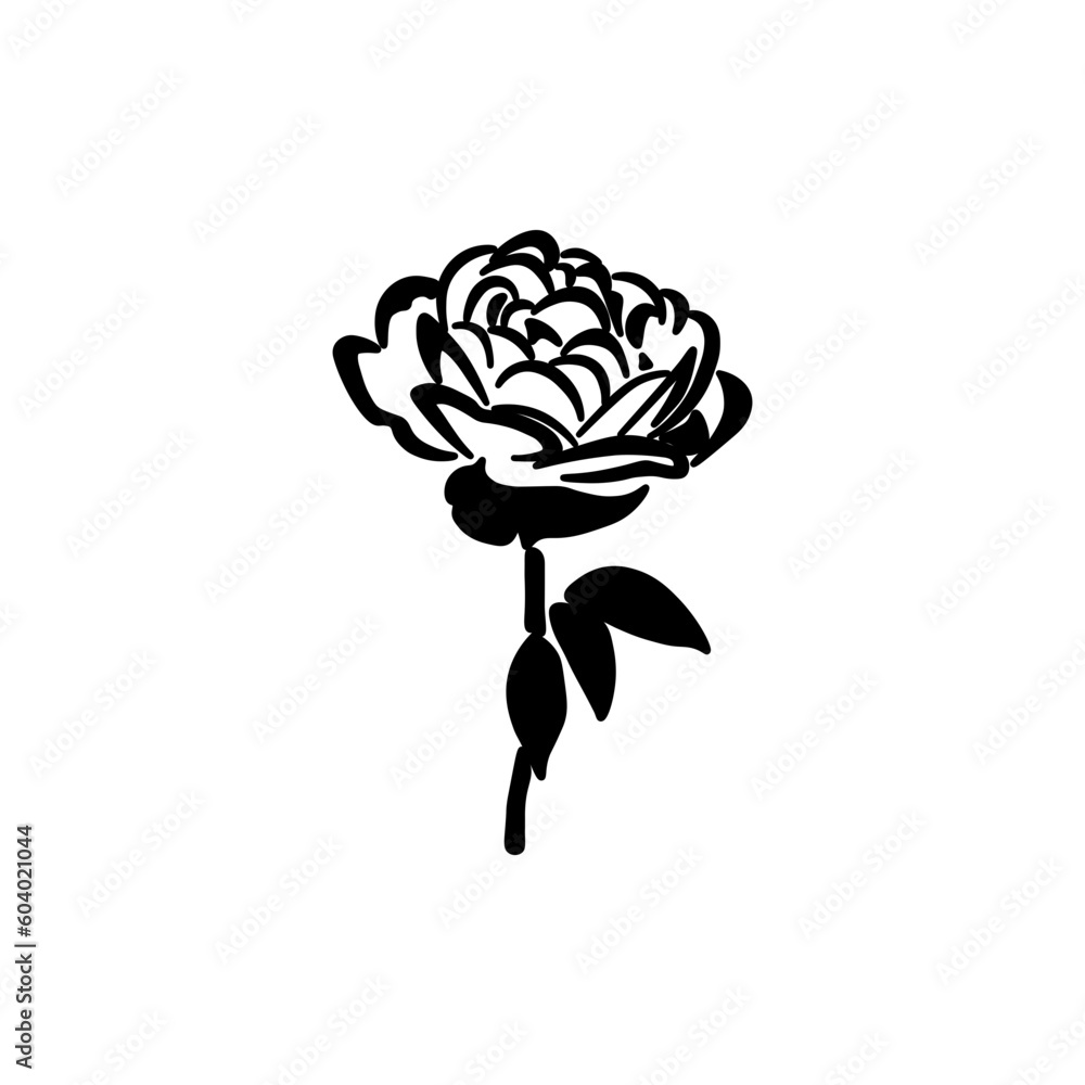 rose dualtone rose dualtone