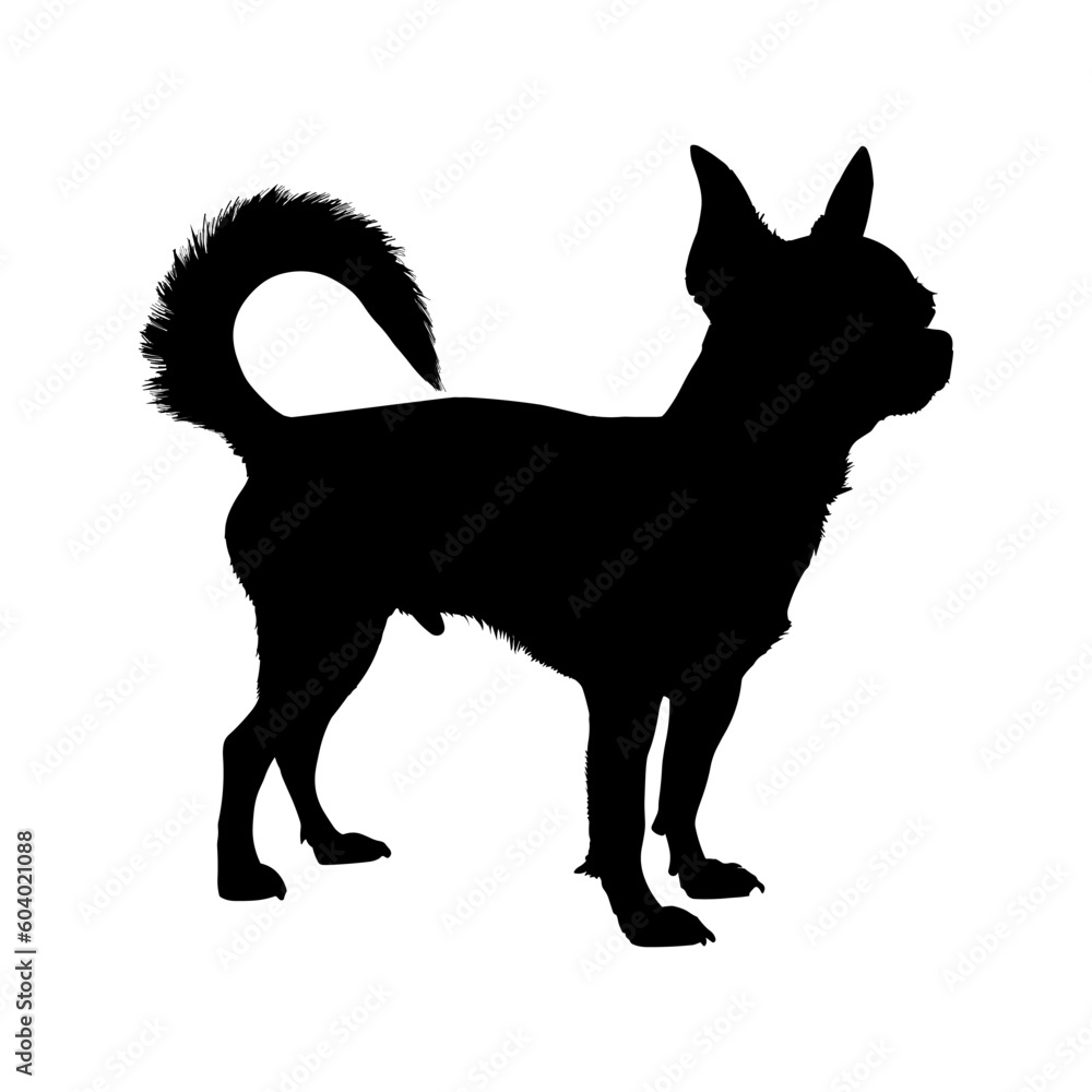 Chihuahua dog silhouette isolated on a white background. Vector illustration