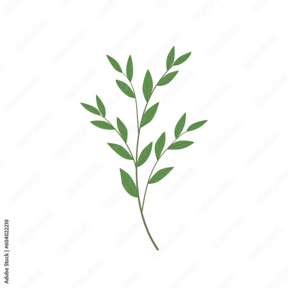 Obraz premium Elegant floral logo element. Branch.