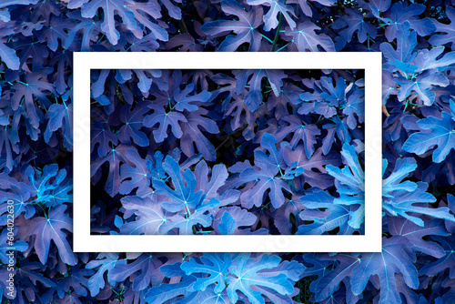 Blue leaf texture White frame Leaf texture background
