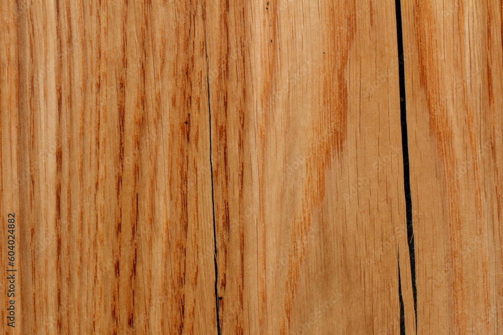 Fototapeta premium wood texture