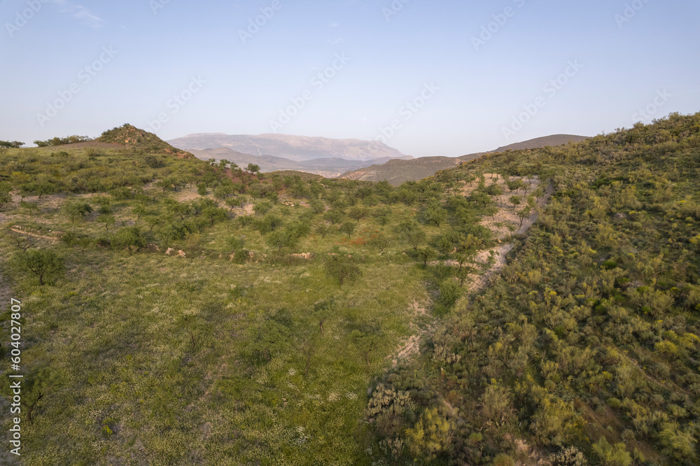 Mountainous landscape in the south of Granada (Spain) Mountainous landscape in the south of Granada (Spain)