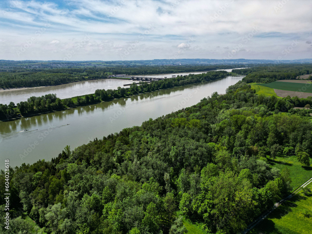 Donau mit Aulandschaft