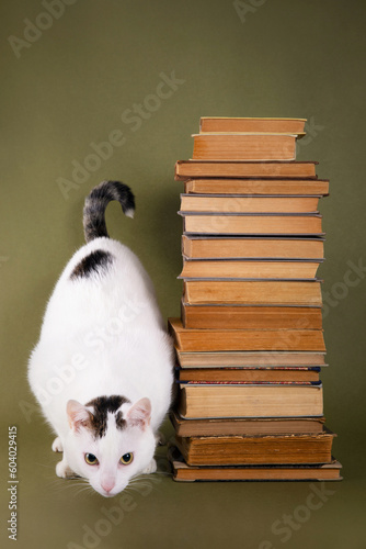 A tower of old books and a cat on an olive green background.