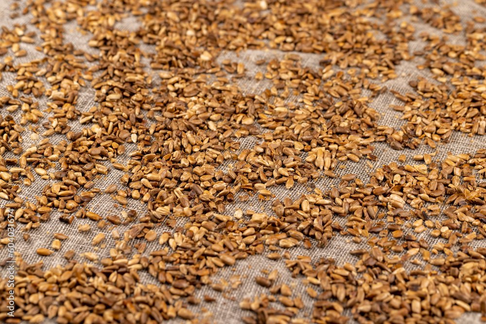 heavily fried sunflower seeds close up heavily fried sunflower seeds close up