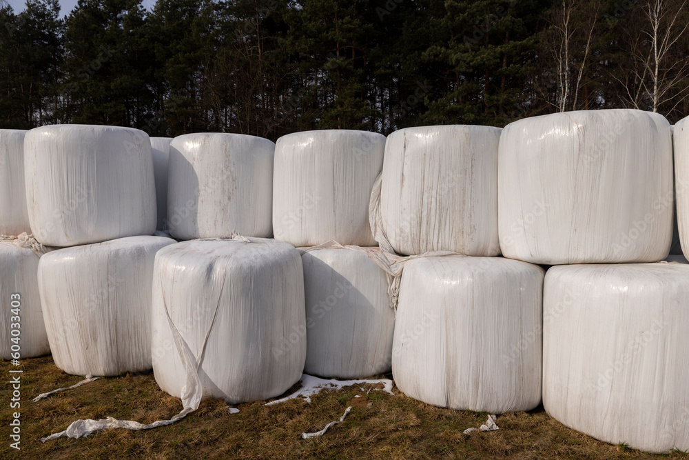 white plastic packaging for hay during storage in winter white plastic packaging for hay during storage in winter