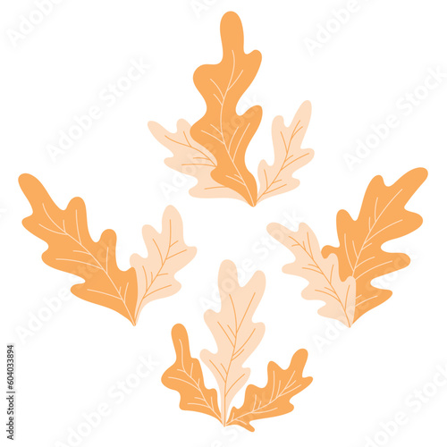 Collection of underwater sea algae bushes with wide leaves. Set for decoration