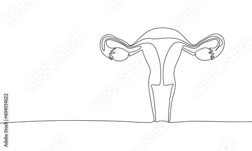 Woman reproductive system, one line continuous. Line art outline vector illustration of organs