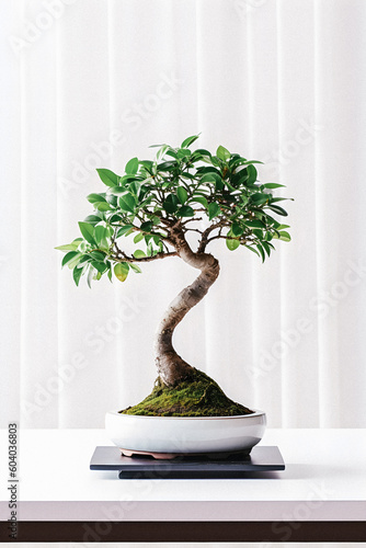 "From Desk to Serenity: Exploring Bonsai for Beginners in Bright, Colorful Student Apartment