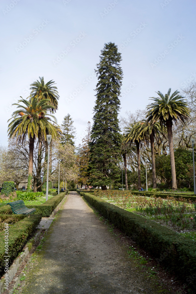 Un paseo por un parque de Galicia