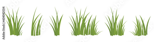 Cartoon grass leaves collection vector illustration isolated on white