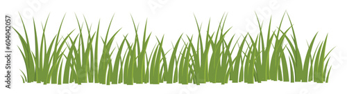 Cartoon grass leaves collection vector illustration isolated on white