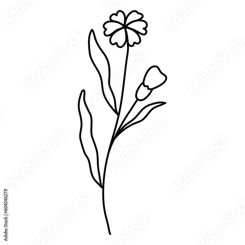Line art floral 