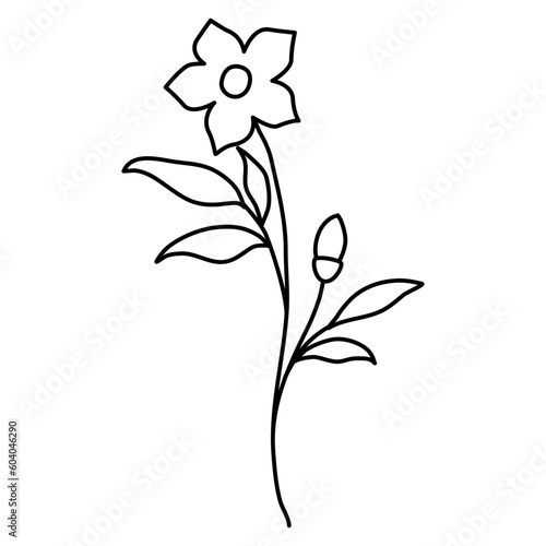 Line art floral 