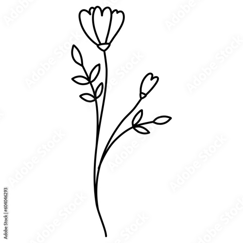 hand drawn flower
