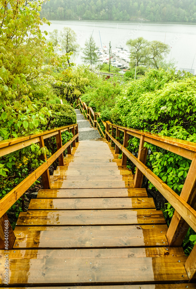 Obraz premium wooden bridge over the river