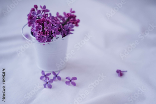 Purple lilac flowers in a cup on a white background. © vitusik