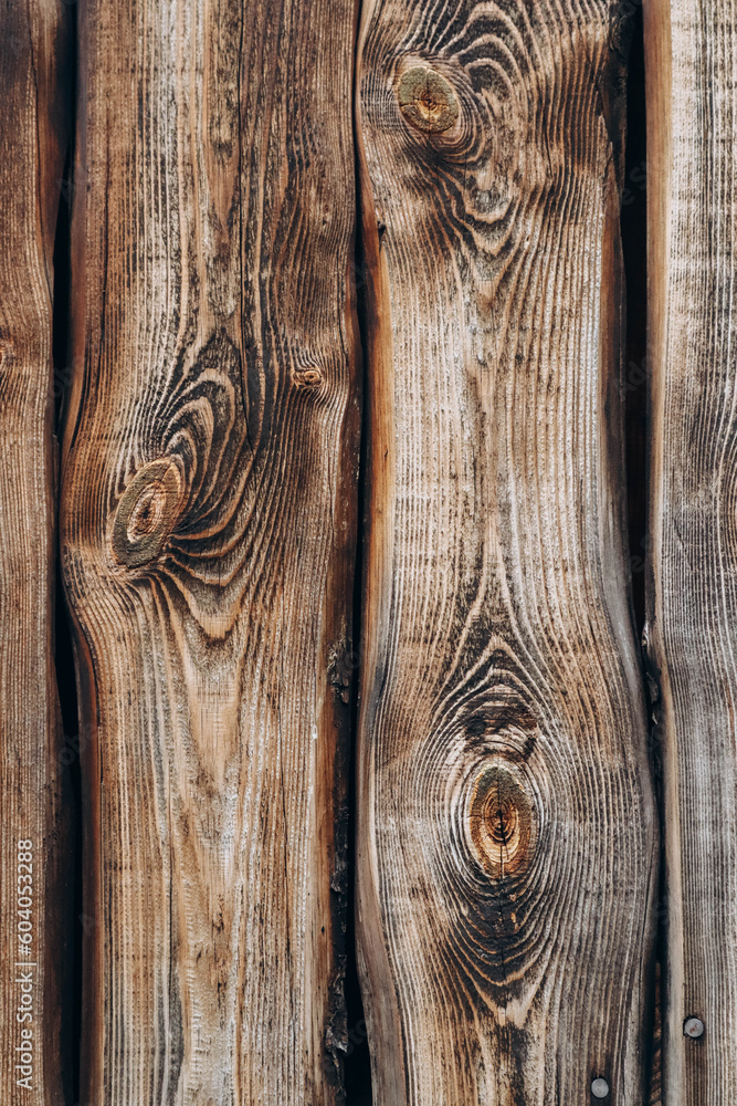 Beautiful wood texture with contrast traced fibers Beautiful wood texture with contrast traced fibers