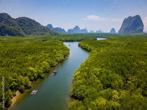 Aerial view of a huge mangrove forest and towering limestone pinnacles (Phangnga Bay, Thailand)