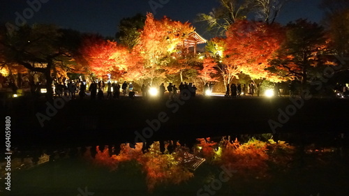 Fototapeta Naklejka Na Ścianę i Meble -  夜の京都の紅葉