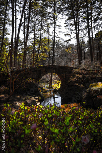 wooden bridge