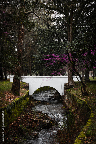 bridge over the river