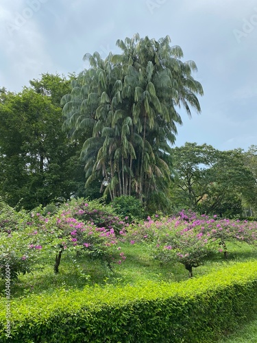 Perdana botanical garden in Malaysia 