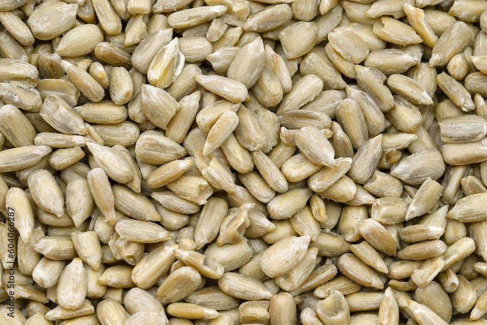 Close up of sunflower seeds. Background. Close up of sunflower seeds. Background.