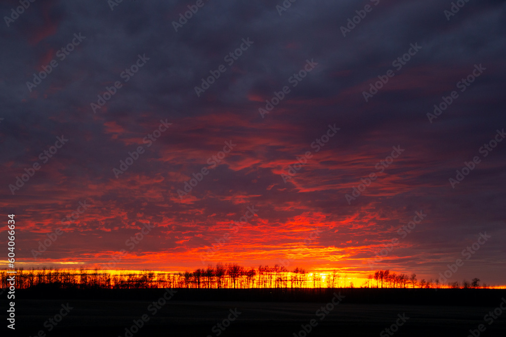 Dramatic purple and orange sunset with trees on horizon in prairies. Dramatic purple and orange sunset with trees on horizon in prairies.