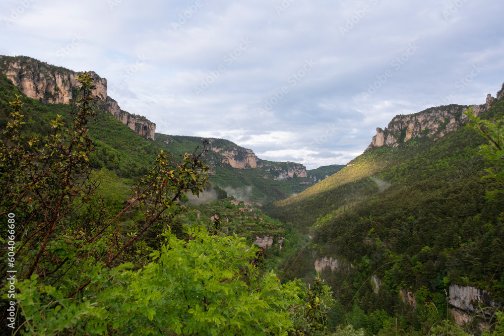 Fototapeta premium gorges de la Jonte, Occitanie, Lozère, 48, Parc naturel régional des Grands Causses, France