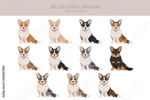 Welsh corgi cardigan clipart. Different poses, coat colors set