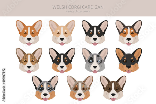 Welsh corgi cardigan clipart. Different poses, coat colors set