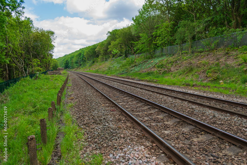 railway in the forest