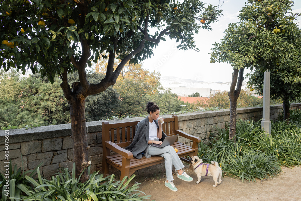 Young brunette freelancer in warm jacket holding coffee to go and using laptop near fresh orange on wooden bench and pug dog near green plants in park in Barcelona, Spain, work from anywhere Young brunette freelancer in warm jacket holding coffee to go and using laptop near fresh orange on wooden bench and pug dog near green plants in park in Barcelona, Spain, work from anywhere
